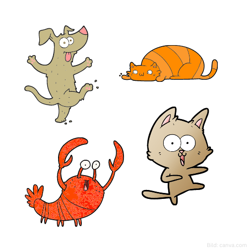 Spirituelles Coaching Möglichkeiten