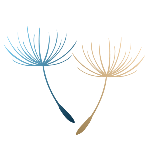 Access Bars & Körperprozesse