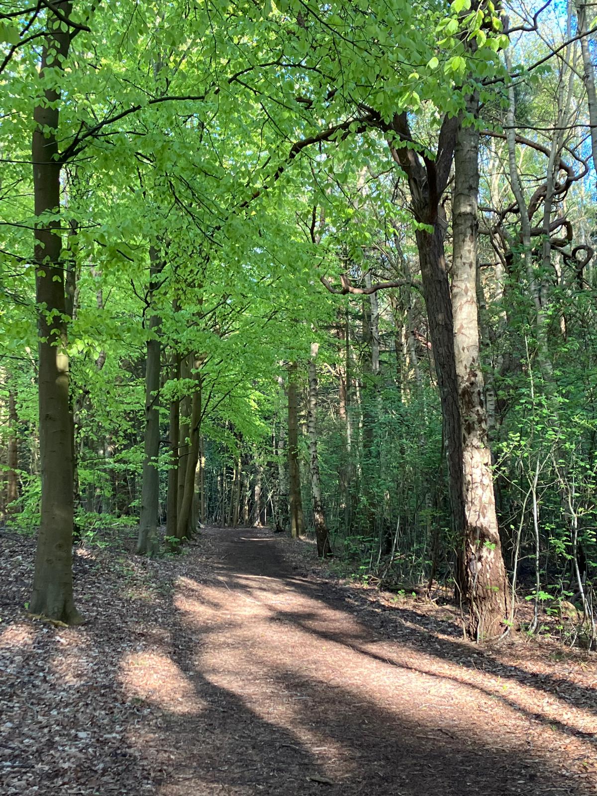 Auf der anderen Seite des Weges