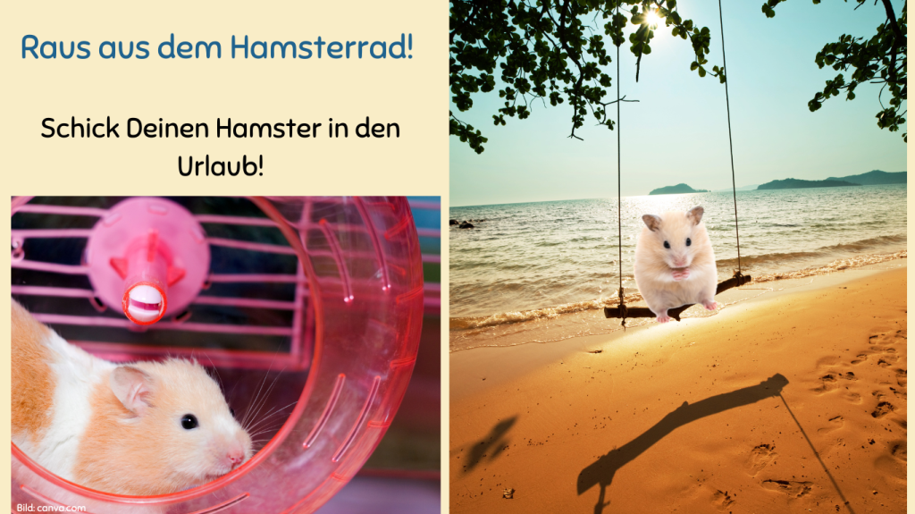 Raus aus dem Hamsterrad