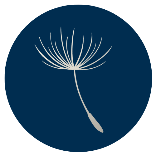 Icon Anker – Ankerzeit