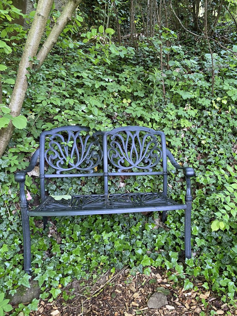 Schwarze Gartenbank im Grünen, umgeben von Blättern – Sinnbild für einen Ort der Ruhe, des Innehaltens und für Gespräche auf dem Weg zur Klarheit und Balance.