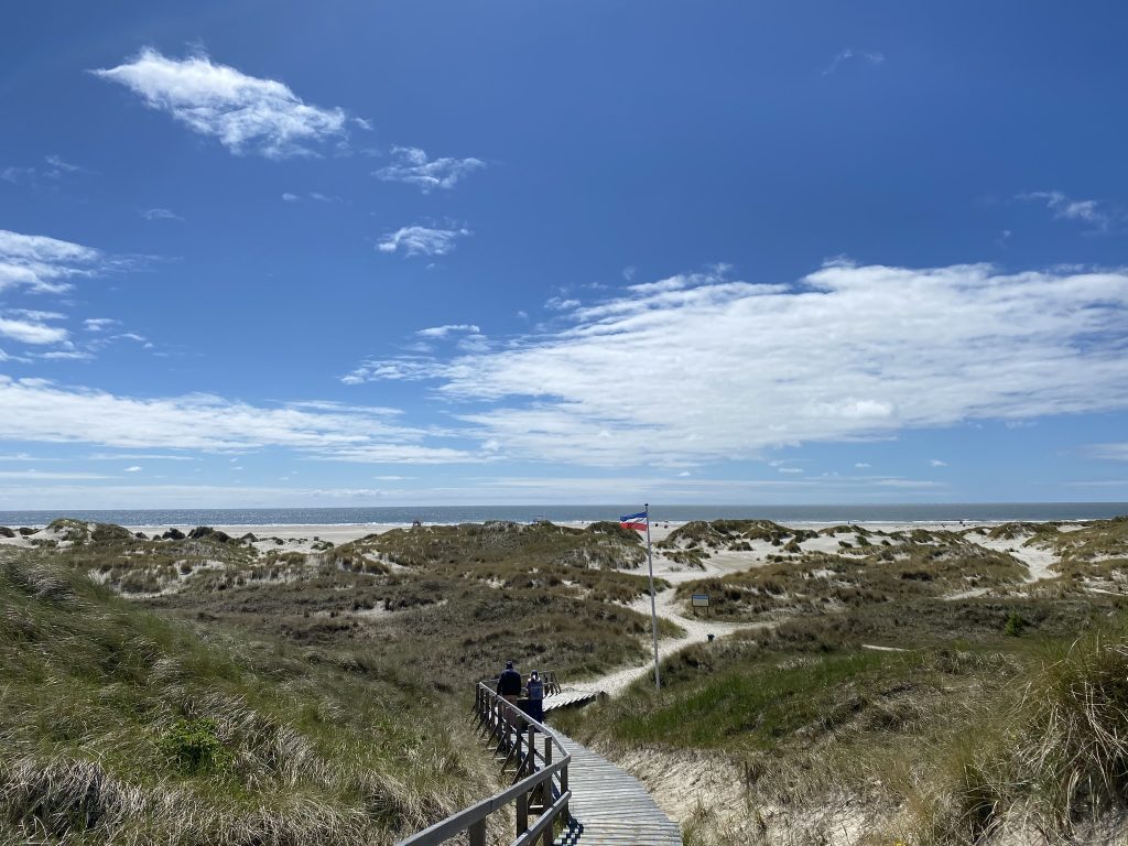Die Kraft des Wandels Amrum weg durch die Dünen...