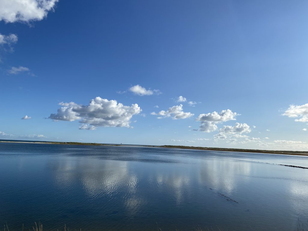 Raum für Weite und Meer Blick auf das Meer - Amrum